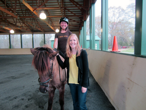 Icelandic horses tryon
